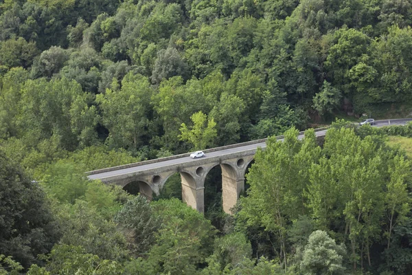 Yeşil Yemyeşil Orman Üzerinde Antik Taş Köprü — Stok fotoğraf