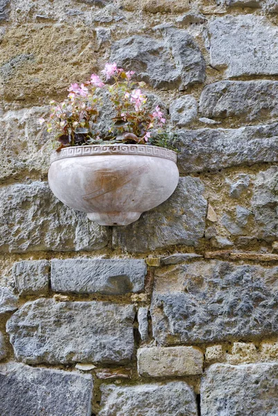 Blommande Blommor Sten Kruka Hängande Gamla Stenmur Stockbild