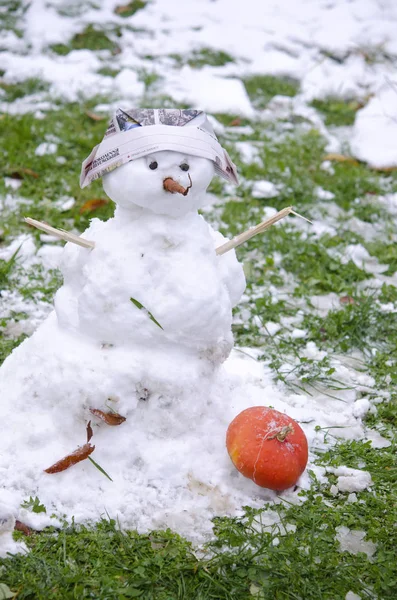 Comic snowman in paper hat and pumpkin on green grass