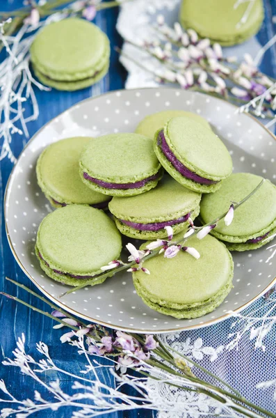 Sweet Macarons Matcha Tea Blackberry Cream — Stock Photo, Image