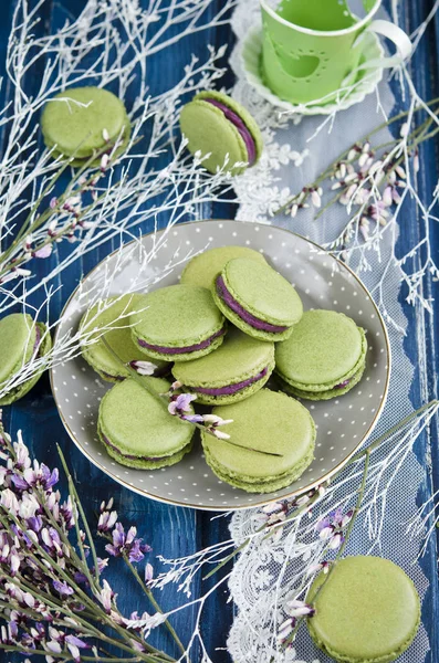 Sweet Macarons Matcha Tea Blackberry Cream — Stock Photo, Image