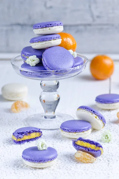 Sweet Purple White Macarons Light Backdrop — Stock Photo, Image