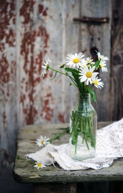 vazo güzel ihale çiçeklerin yakından görünümü