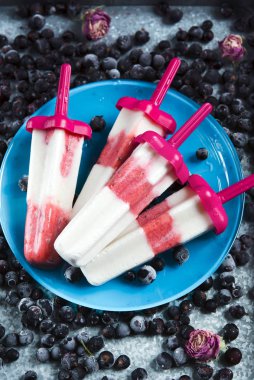 Hindistan cevizi ve Frenk üzümü dondurma mavi plaka, seçici odak üzerinde