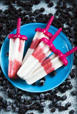 Hindistan cevizi ve Frenk üzümü dondurma mavi plaka, seçici odak üzerinde