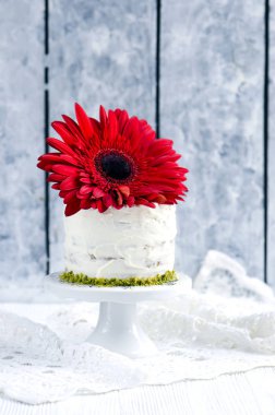 Krem peynirli havuçlu kek.