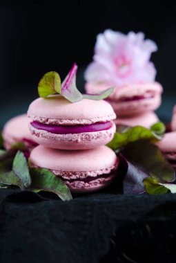 Pembe macarons pancar koyu arka plan üzerinde krem ile