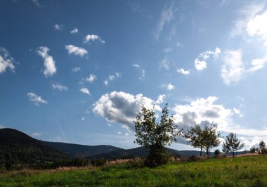 Yaz manzarası. Dağlar, yeşil çimenler, güneşli bir gün