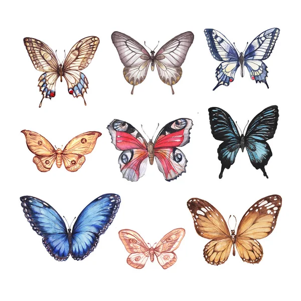 나비들 모인다 수채화는 수채화이다 배경에 별도의 빈티지 스케치 리얼리즘 — 스톡 사진