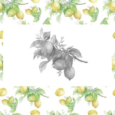 Dal üzerinde limon olan kusursuz bir desen. El yapımı suluboya çizimi. Parmak izi, tekstil, kağıt, arka plan. Provence. Eski, eski, eskiz, gerçekçilik. Parlak, sulu. Meyve suyu, mutfak, geleneksel yemekler, meyveler..