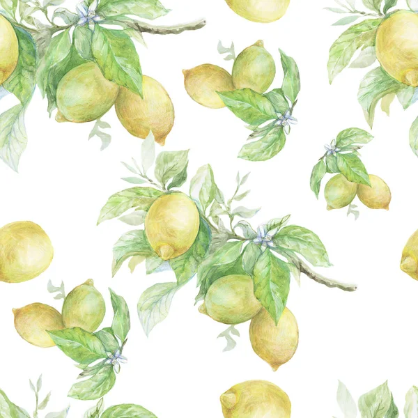 无缝图案 枝子上有柠檬 手绘水彩画 纺织品 普罗旺斯复古 现实主义 明亮多汁果汁 传统菜肴 — 图库照片