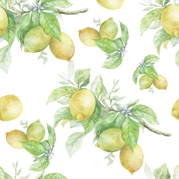 Nahtloses Muster Mit Zitronen Auf Einem Zweig Handgezeichnete Aquarellillustration Druck — Stockfoto