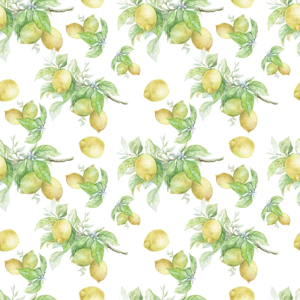 枝にレモンとシームレスなパターン 手描きの水彩イラスト プロヴァンス ヴィンテージ レトロ スケッチ リアリズム 明るくジューシーだ ジュース 伝統的な料理 — ストック写真
