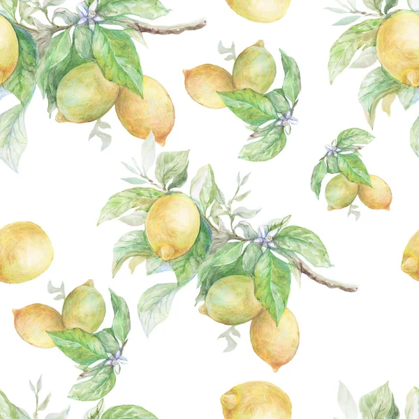 Modèle Sans Couture Avec Des Citrons Sur Une Branche Illustration — Photo