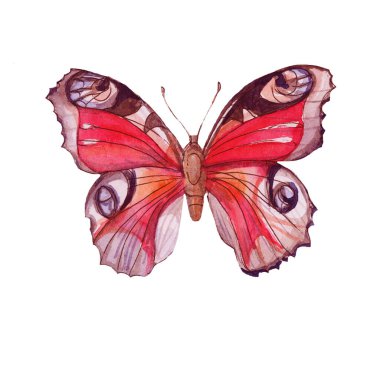 Kelebekli kusursuz desen koleksiyonu. El yapımı suluboya çizimi. Beyaz arkaplandaki elementler ayrı ayrı. Siyah, kırmızı, mavi, turuncu. Parmak izi, tekstil, kağıt, kumaş. Vintage, skeç, retro, realizm.