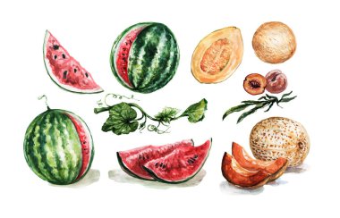 Karpuz, kavun, şeftali seti. Suluboya el çizimi çizimi. Moda gerçekçilik, retro, vintage, skeç. Taze meyve suyu. Yaz sebze bahçesi, bahçe. Yazdır, tekstil. Ayarla