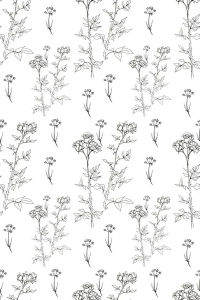 Seamless Pattern Roses Graphic Hand Drawn Illustration Flora Botany Flowering — Stock Photo, Image