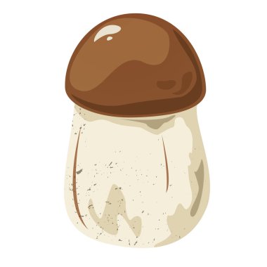 Tricholoma yenilebilir mantar, vektör çizimi arkaplandan izole