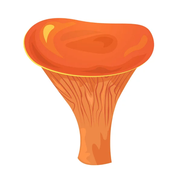 Lactarius Sanguifluus Cogumelo Comestível Ilustração Vetorial Isolada Fundo — Vetor de Stock