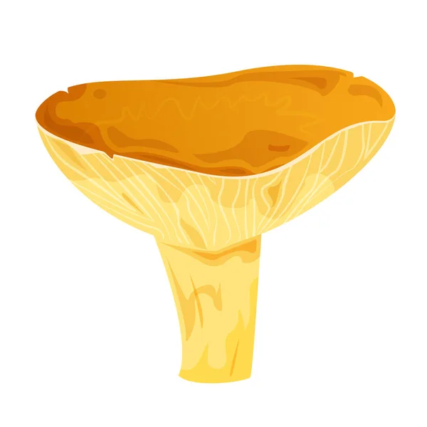 Lactarius Resimus Edible Mushroom Vector Illustration Isolated Background — Stock Vector