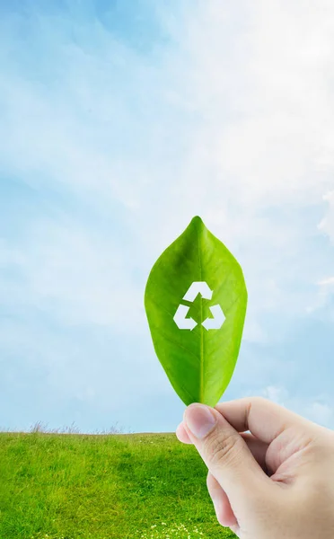 Friss zöld levél a kezében recycle szimbólum a természetben háttérképet — Stock Fotó
