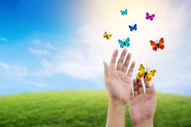 kelebek özgürlük env ile güzel bir doğa üzerinde açık havada uçan