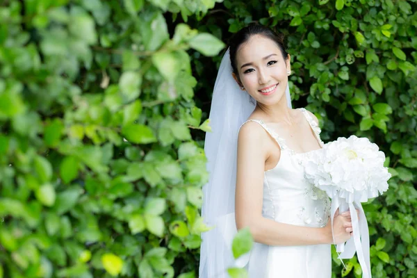 Bela jovem no dia do casamento em vestido branco na árvore — Fotografia de Stock