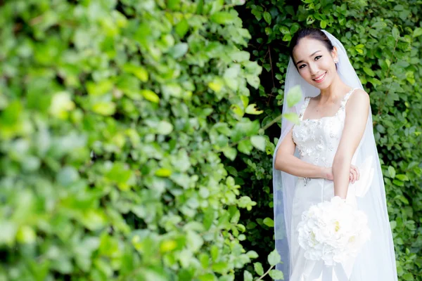 Hermosa mujer joven en el día de la boda en vestido blanco en el árbol —  Fotos de Stock