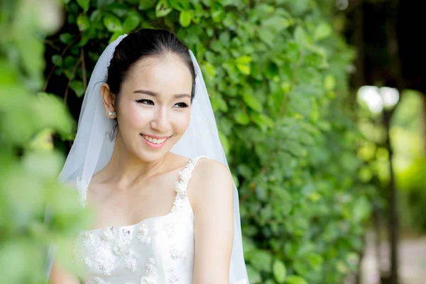 나무에서 흰색 드레스에 결혼식 날에 아름다운 젊은 여자 — 스톡 사진