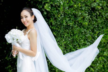 ağaç beyaz elbiseli düğün günü güzel genç kadın 