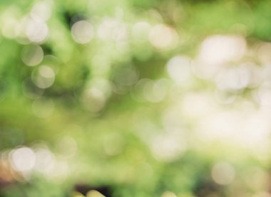 Çevre kavramı ile defokus doğa yeşil bokeh arka plan.