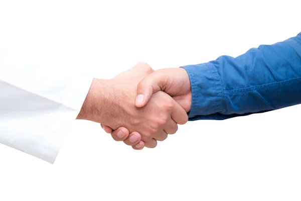 Closeup portrait of healthcare professional doctor shaking hand — Stock Photo, Image