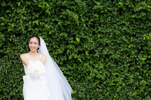 Belle jeune femme le jour du mariage en robe blanche dans l'arbre — Photo