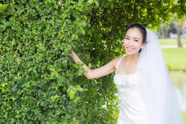 Bela jovem no dia do casamento em vestido branco na árvore — Fotografia de Stock