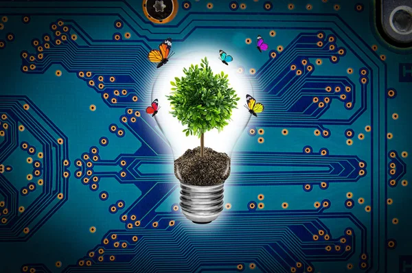 Lamp met een boom op een computer circuit board milieu concept — Stockfoto