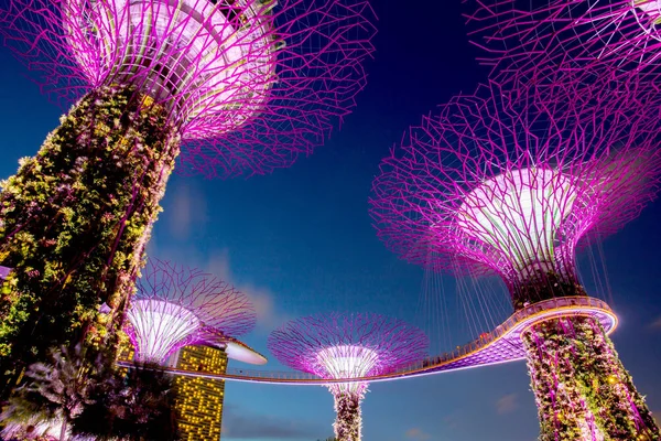 Singapur - 26 Ağustos 2017: Gardens by the Bay'de Supertrees. T