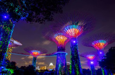 Singapur - 26 Ağustos 2017: Gardens by the Bay'de Supertrees. T