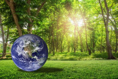 Doğa bulanıklık bokeh bac ile yeşil çim üzerinde güzel Planet earth