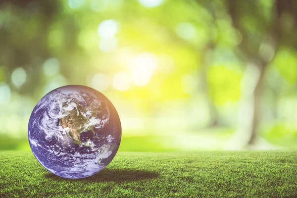 Doğa bulanıklık bokeh bac ile yeşil çim üzerinde güzel Planet earth