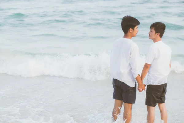 Volver ver homosexual joven asiático pareja de pie juntos en bea — Foto de Stock