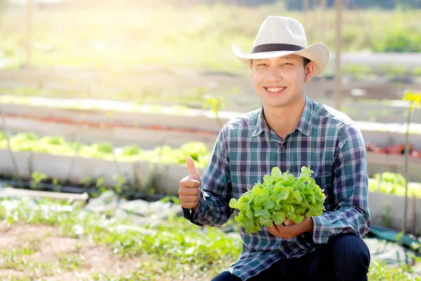 Mladý Asijský Muž Zemědělec Drží Ukazuje Čerstvé Bio Zelený Dub — Stock fotografie