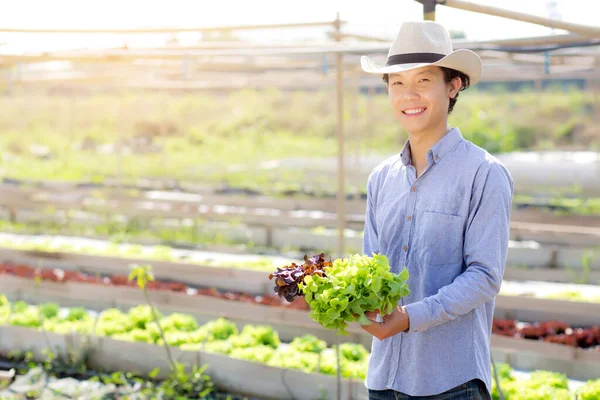 Ung Asiatisk Man Bonde Som Håller Färsk Ekologisk Grön Och — Stockfoto
