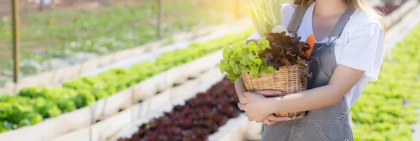 Vackra Porträtt Ung Asiatisk Kvinna Skörd Och Plocka Upp Färska — Stockfoto