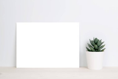 Boş kağıt levha kopyalama alanı ile ahşap masa üzerinde bitkiler, poster ve davetiye boş masa, kart dekorasyonu tasarım veya markalaşma, basitlik ve asgari, hiç kimse.