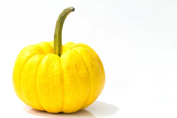 Fancy Pumpkin Yellow White Background Stock Photo