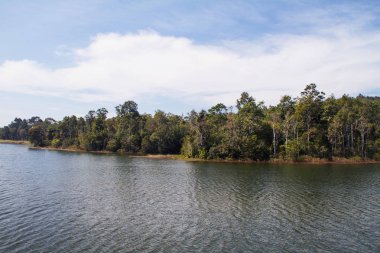 dağlar ağaçlar ve bir nehir