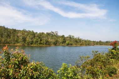 dağlar ağaçlar ve bir nehir