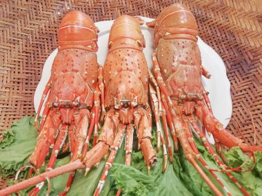 Beyaz bir tabak haşlanmış ıstakoz