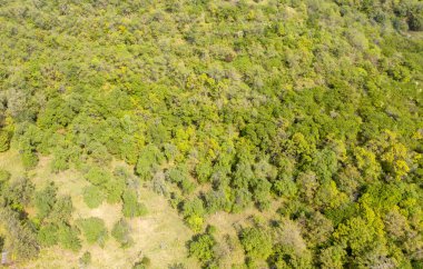 Kuş bakışı Almat şehri. Trans-Ili Alatau'nun etekleri. Kazakistan. Orta Asya