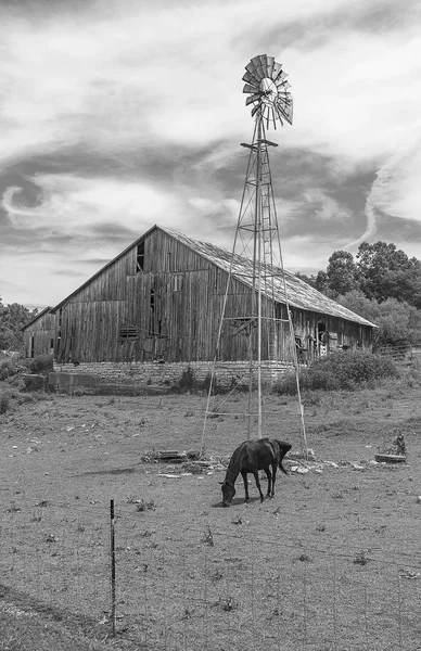 Спокойная Сельская Сцена Черно Белом Цвете — стоковое фото
